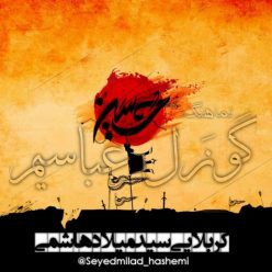 Seyed Milad Hashemi – Gozal Abbasim